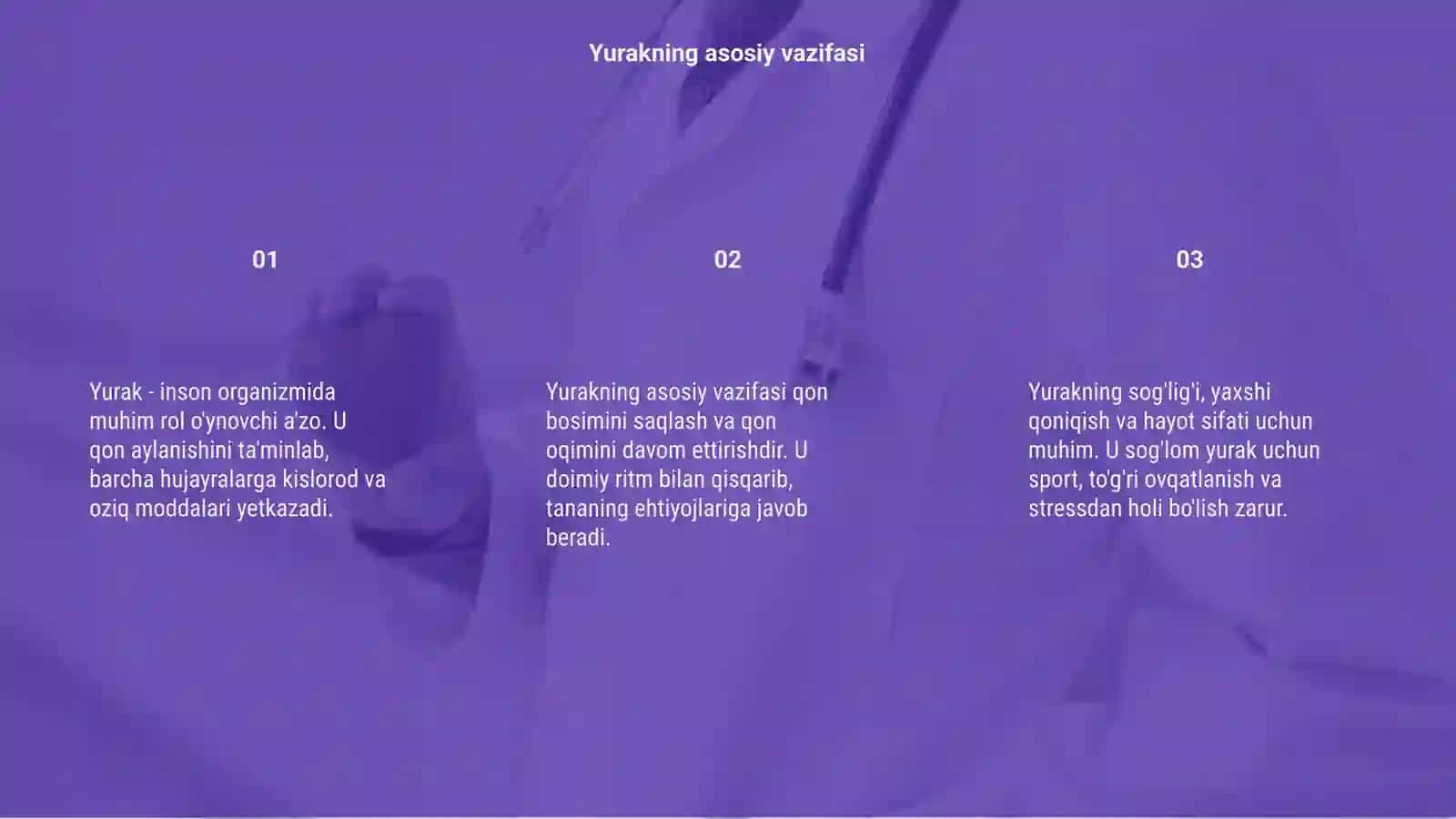 Yurak.Venalar 3