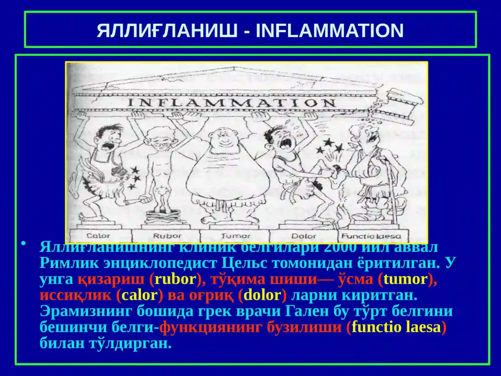Яллиғланиш 3