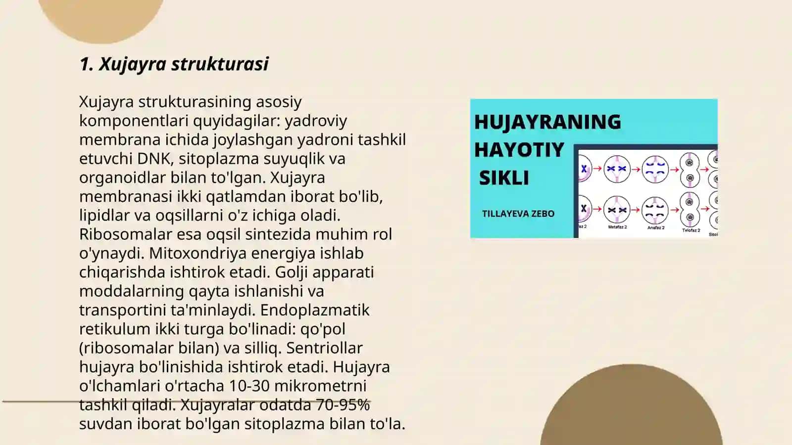 Xujayra Nima 3