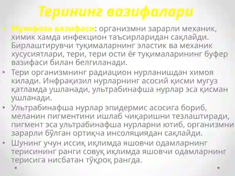 Терининг вазифалари 3