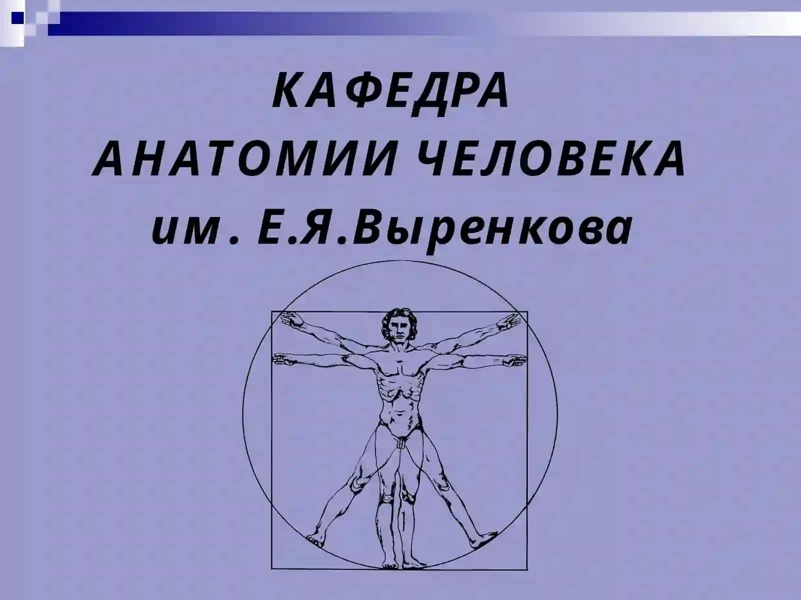 АНАТОМИЯ 3