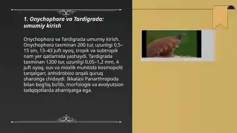 Onychophora va Tardigrada 3