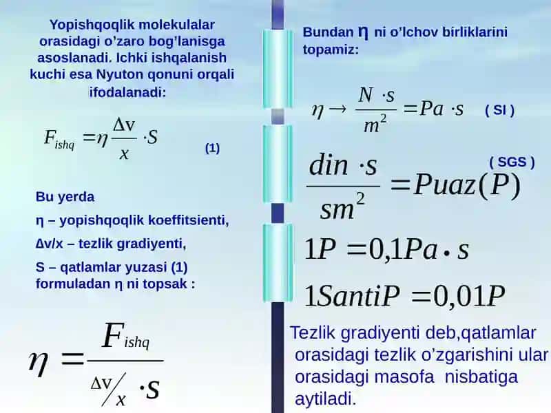 Bioreologiya 3