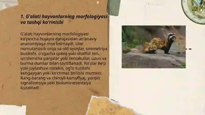Strange animal 3