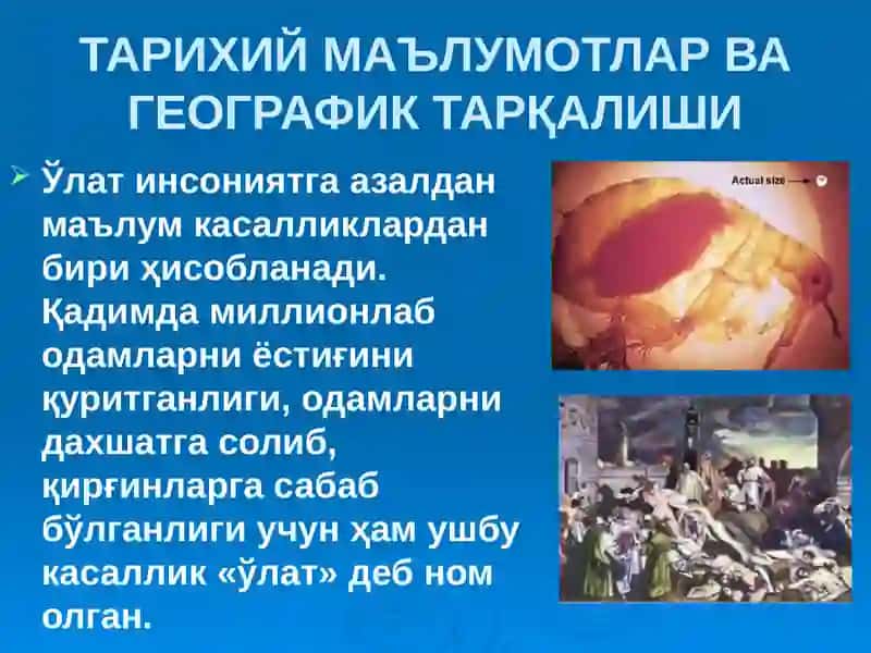 ЎЛАТ 3