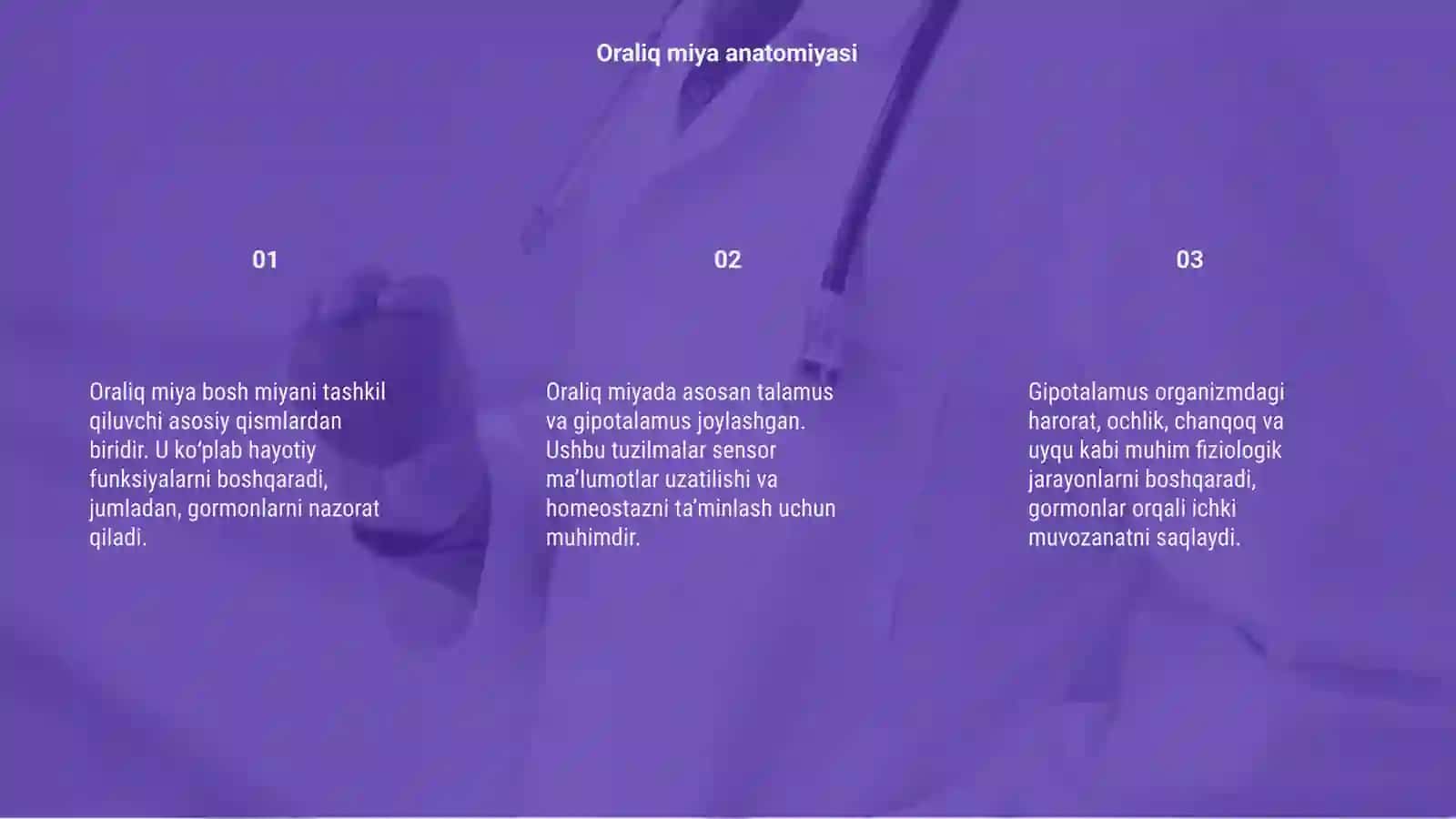 Oraliq miya anatomiyasi 3