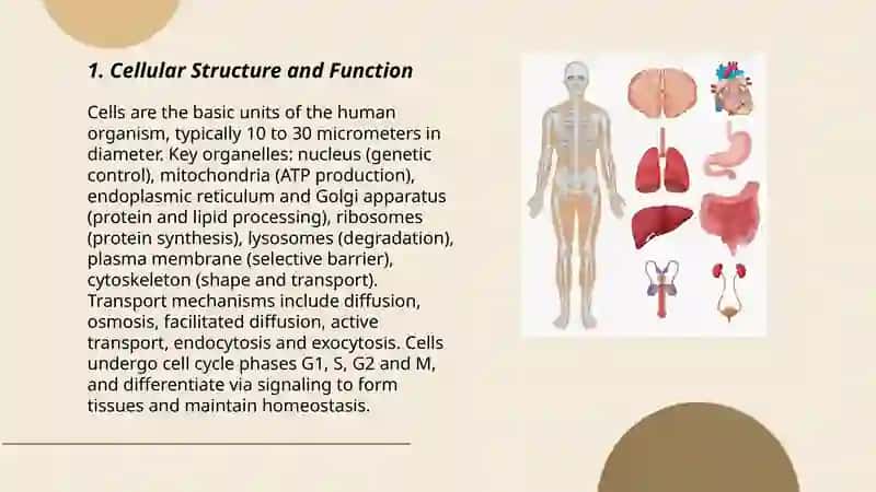 Human Organism 3