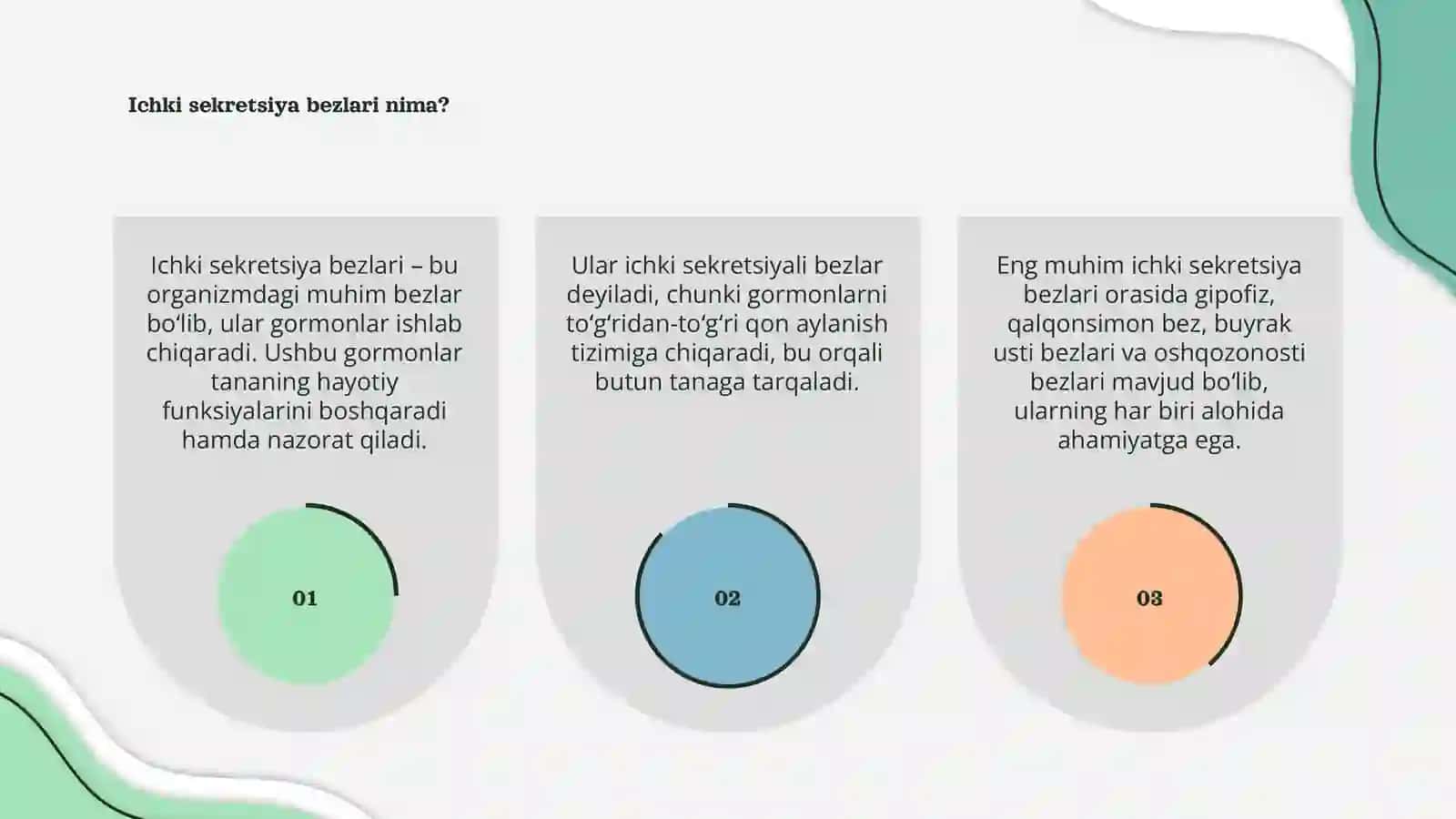 Ichki sekretsiya bezlari 3