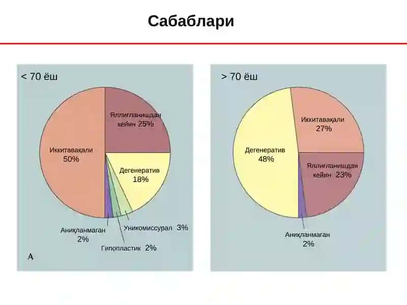 Аорта клапан нуқсонлари 3
