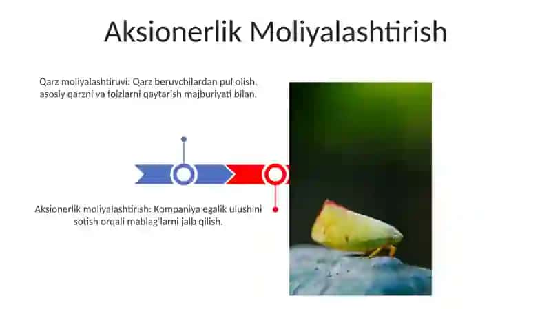 Investitsiya faoliyatini moliyalashtirish manbalari va ularning tarkibi 3
