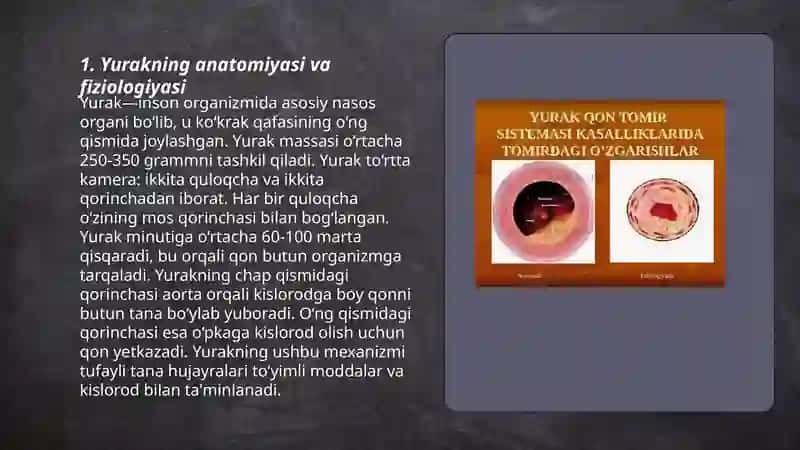 Yurak qon tomirlari 3