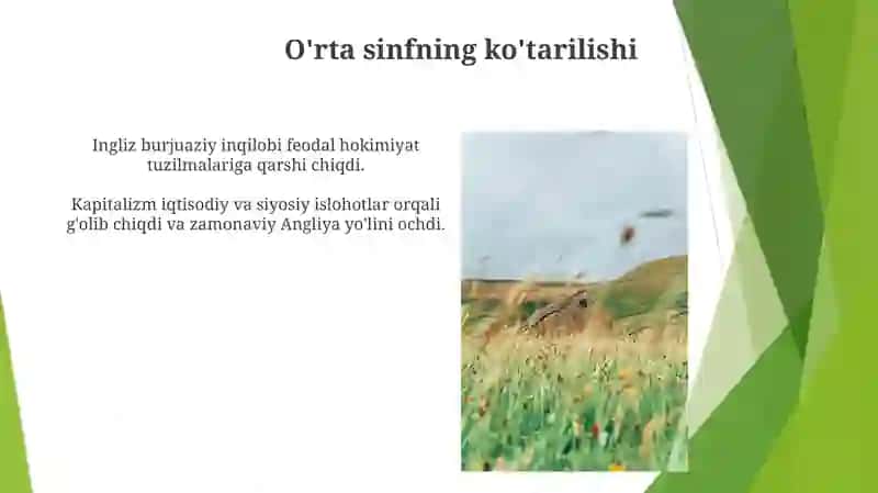Ingliz burjuaziy inqilobi 3