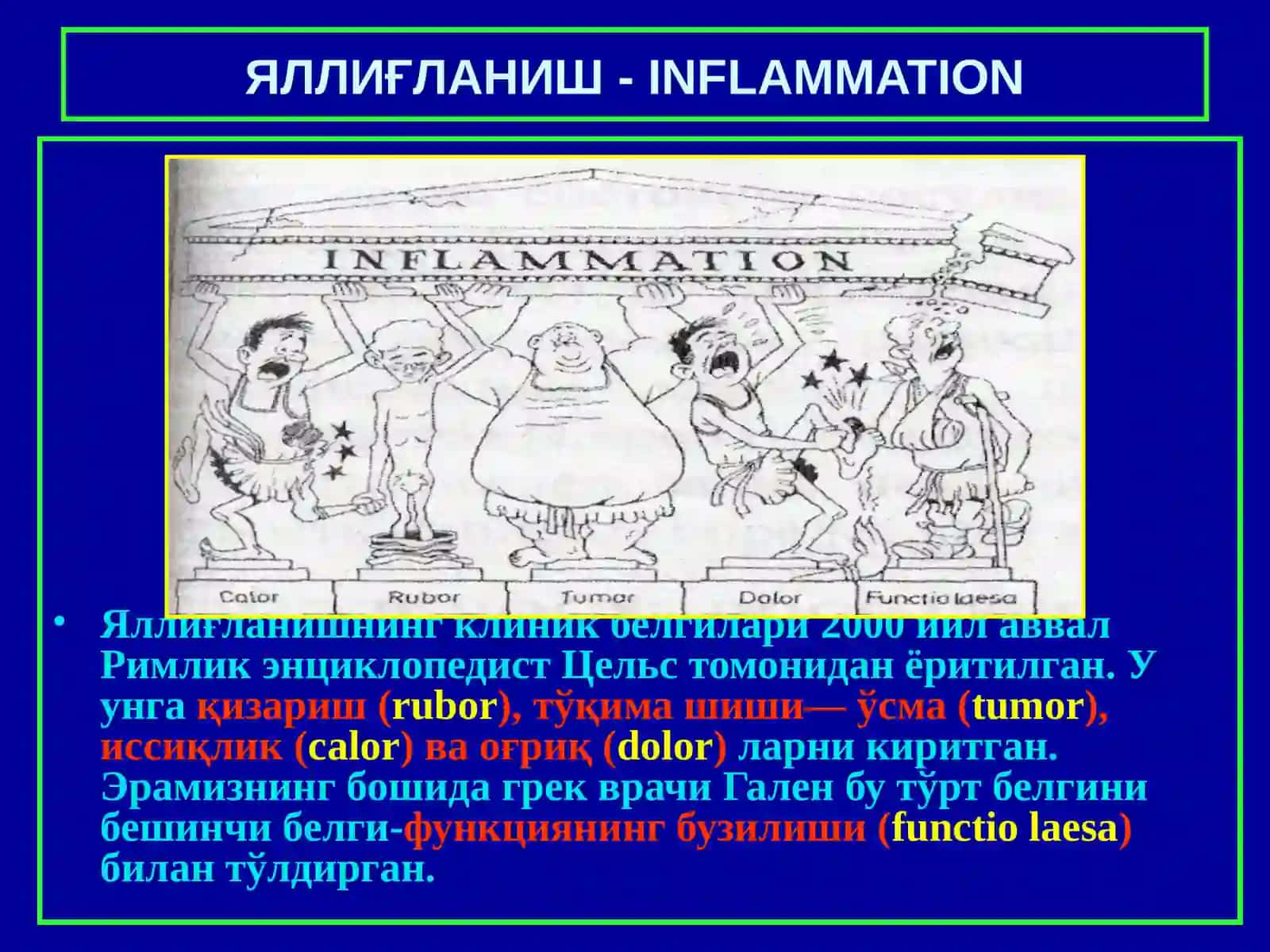 ПАТОЛОГИК АНАТОМИЯ 3