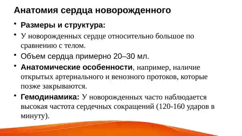 Изменениеразмеровсердцавразвитииребёнка,соотношениешириныполостейсердцаисосудов,значениеихгемодинамическихпараметров 3