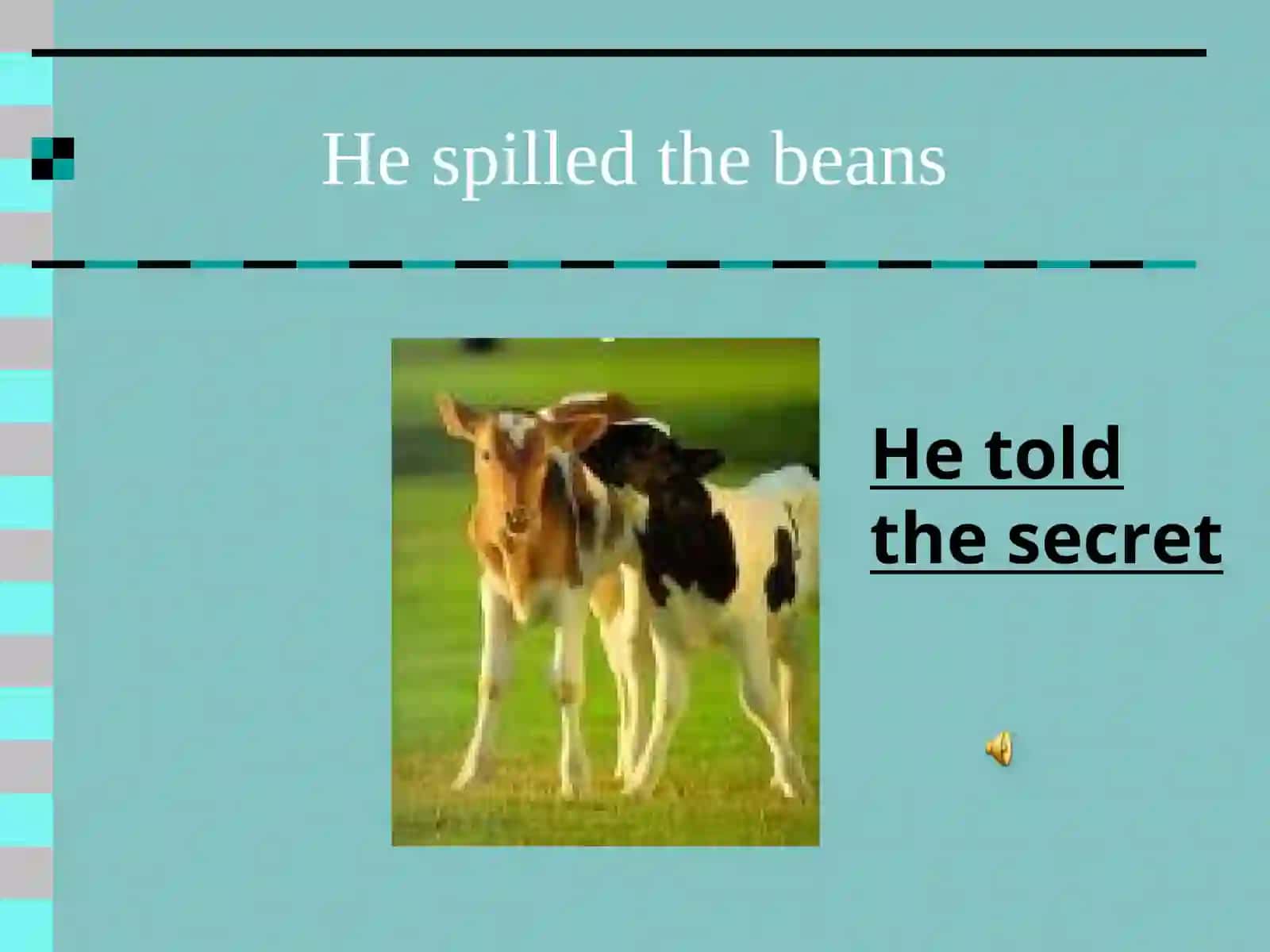 Idiom Dictionary 3