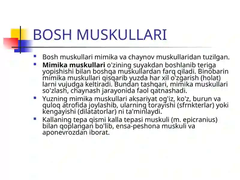 BOSH MUSKULLARI 3