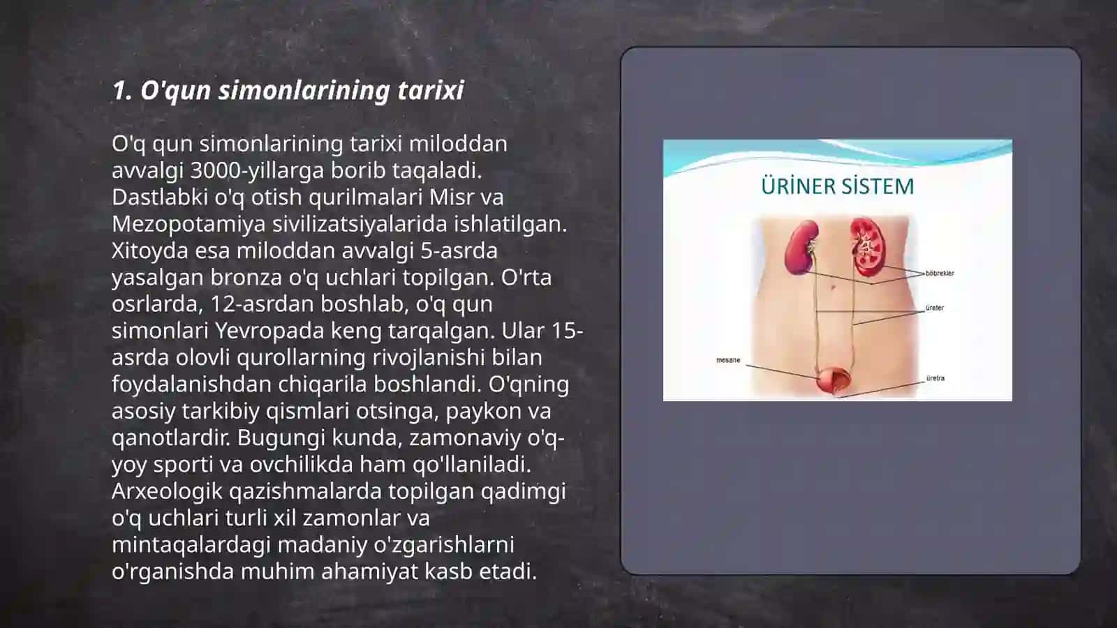 Okunsimonlar tuzilishi 3