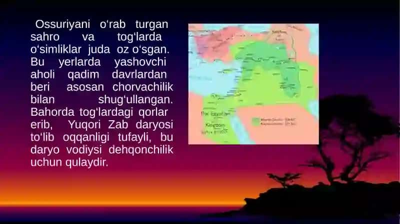 Qadimgi Ossuriya 3