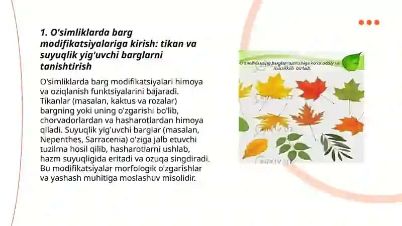 O'simliklarda Barglarning Modifikatsiyasi 3