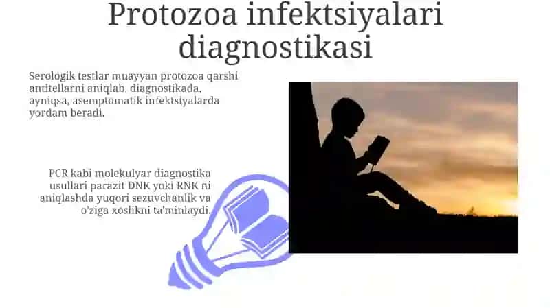 Moychechak 3