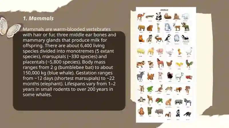 Animals 3