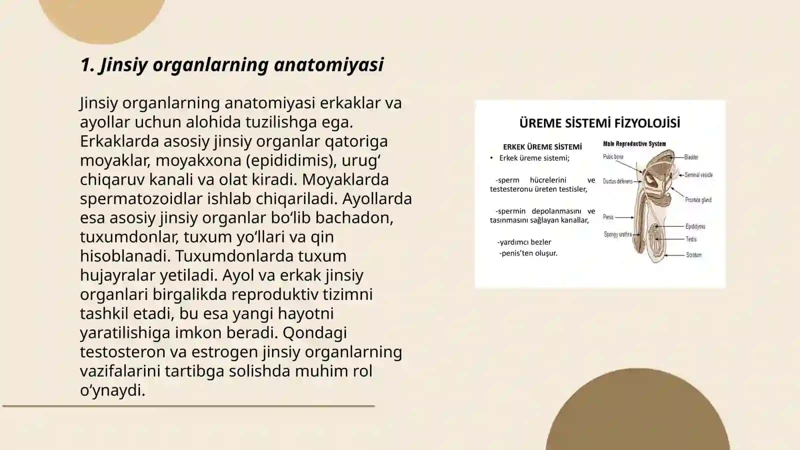 Jinsiy organlar funksiyalari tuzilishi bilan bogliq kasalliklar 3