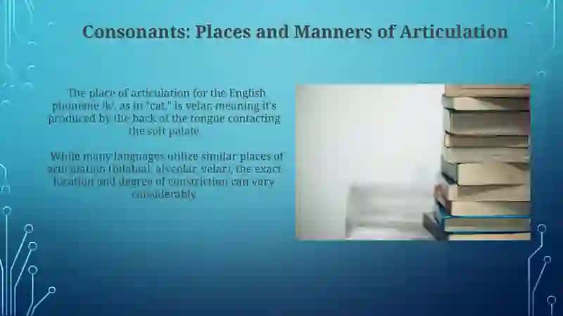 Articulatory phonetics 3