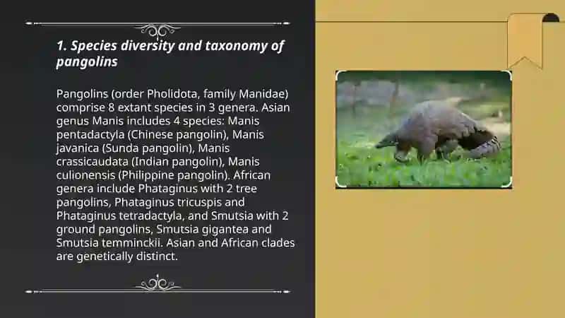 Pangolin 3