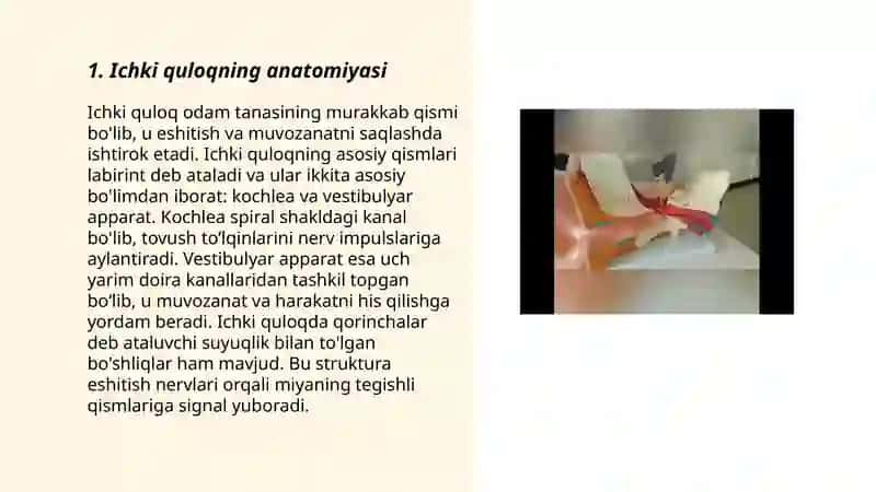 Ichki quloq 3
