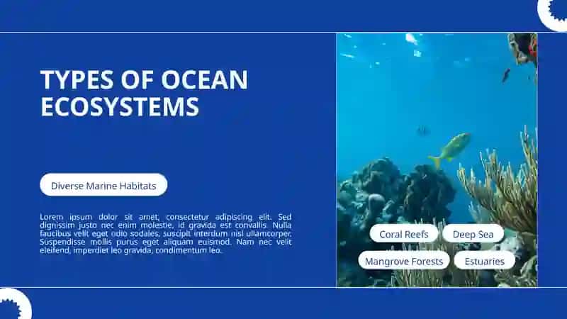 Coral Reefs 3