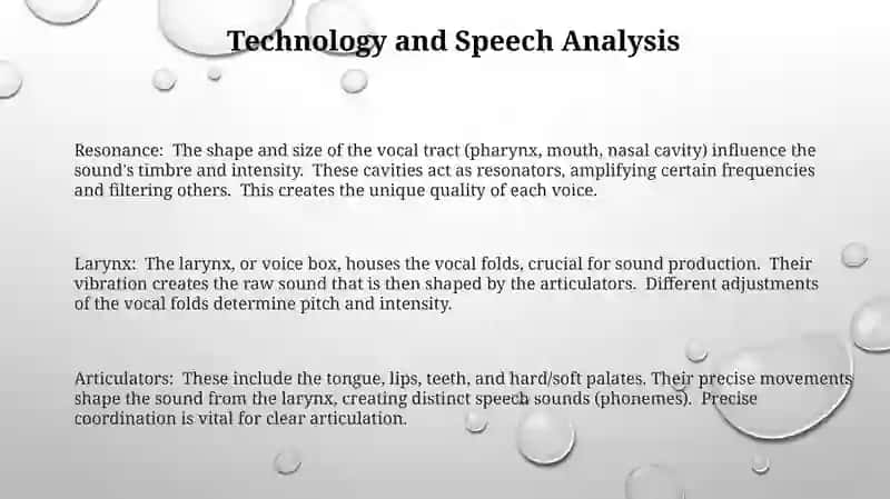 Organs of Speech 3