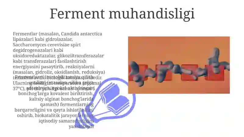 Fermentlar 3