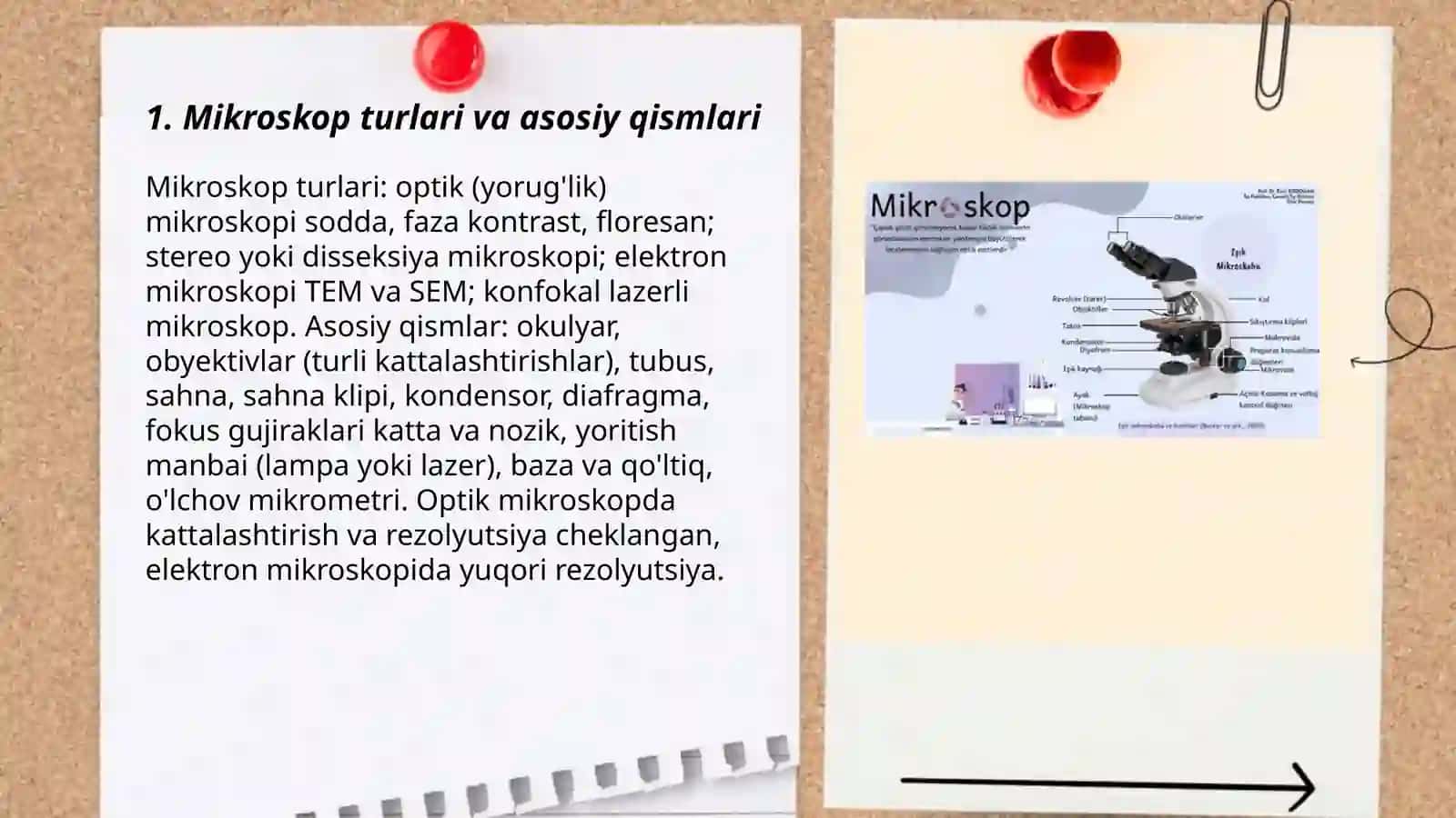 Mikroskop 3