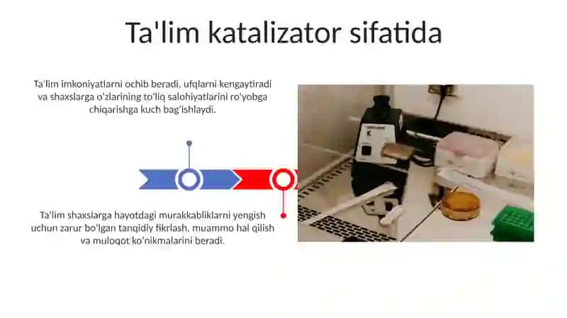 Ta'limning Asoslari 3