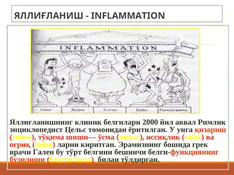 “Яллиғланиш” 3
