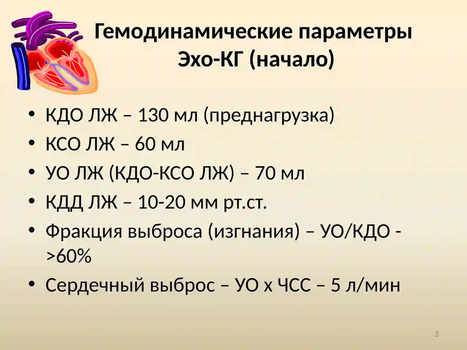 Митральные пороки сердца 3