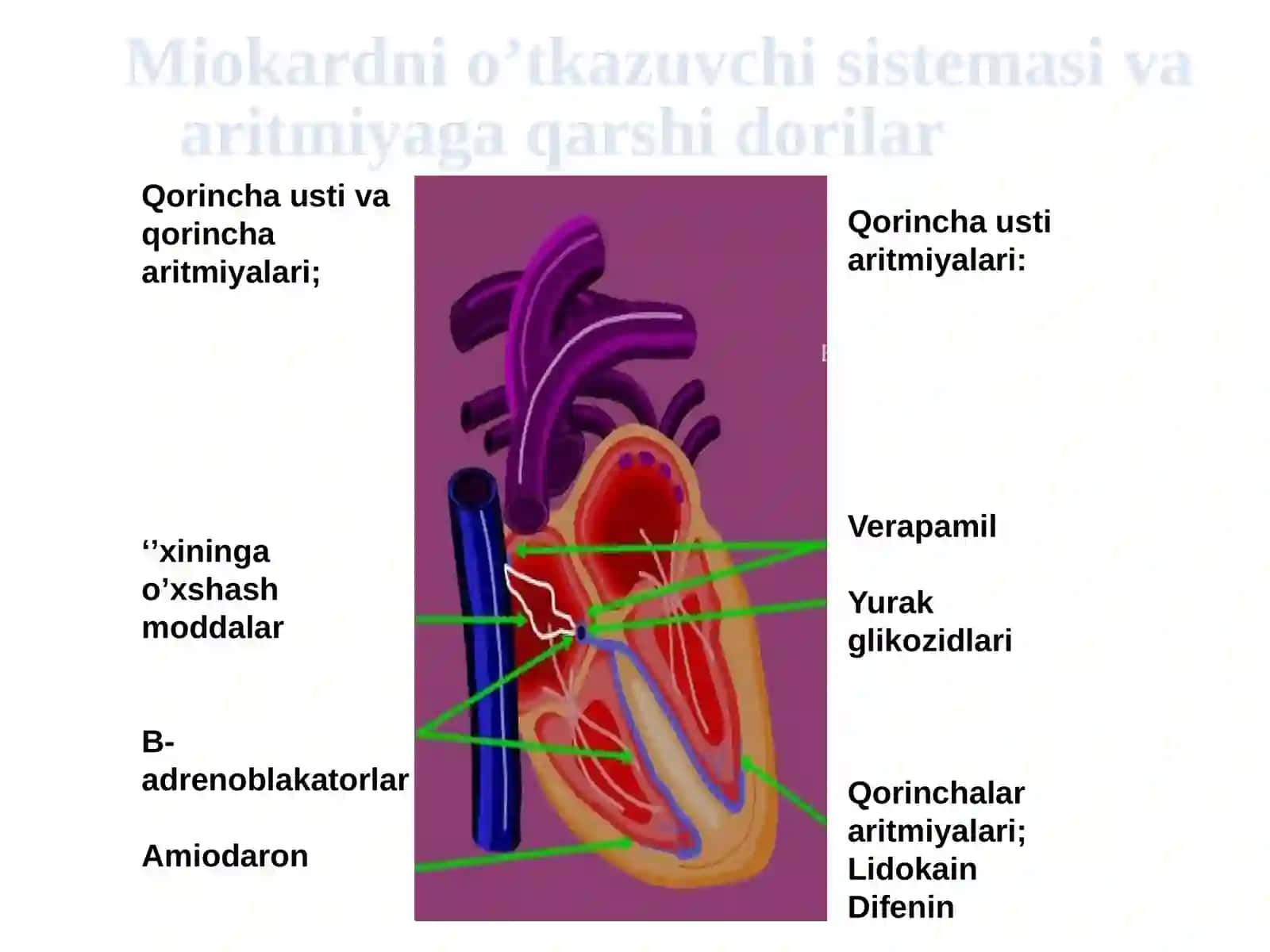ARITMIYAGA QARSHI DORILAR 3