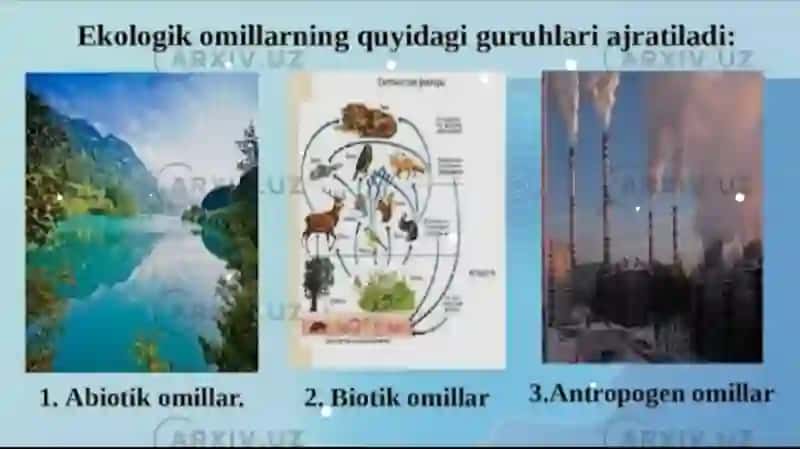 Turli ekologik omillarning Tirik organizmlarga ta’siri 3