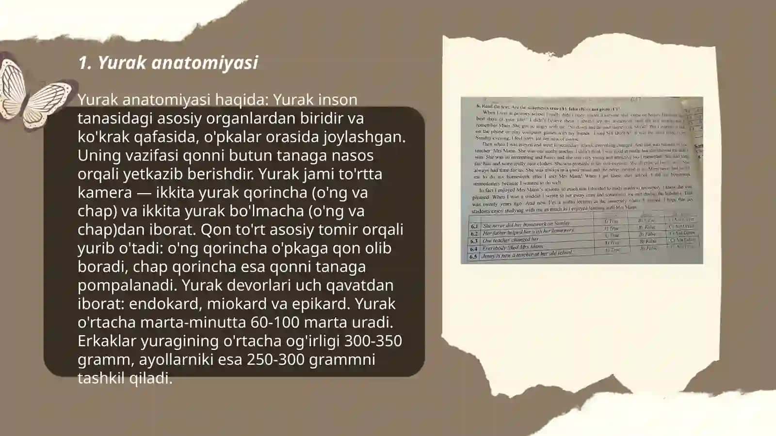 Yurak anatomiyasi 3