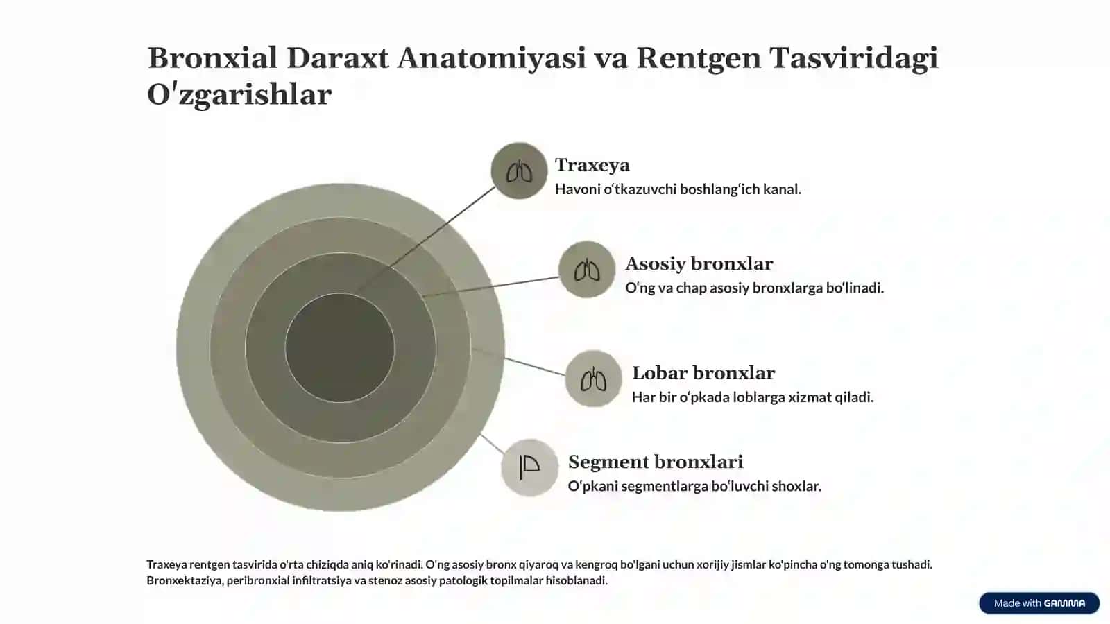 Nafas A'zolarining Rentgenanatomiyasi 3