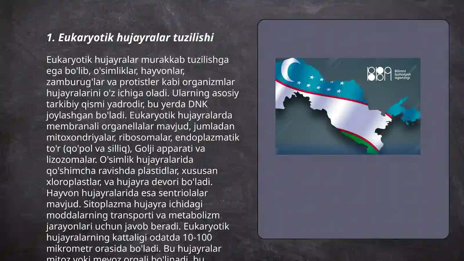 Eukariot hujayralar 3