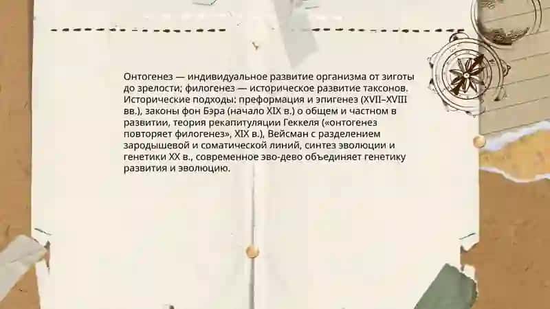Онтогенез-филогенез 3