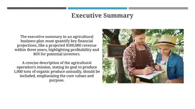 Business plan in agriculture 3