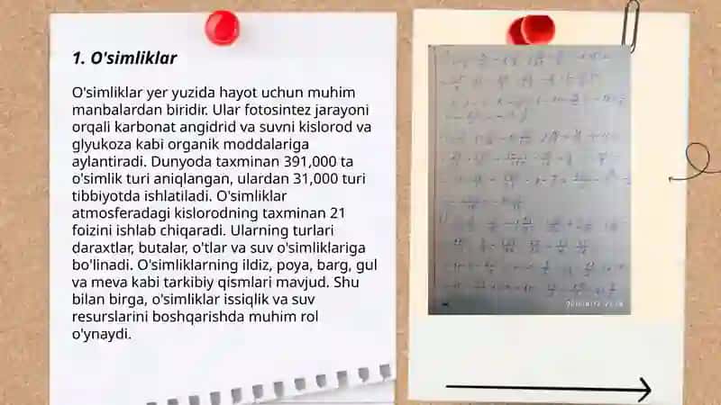 Tábiyiy pánler 3