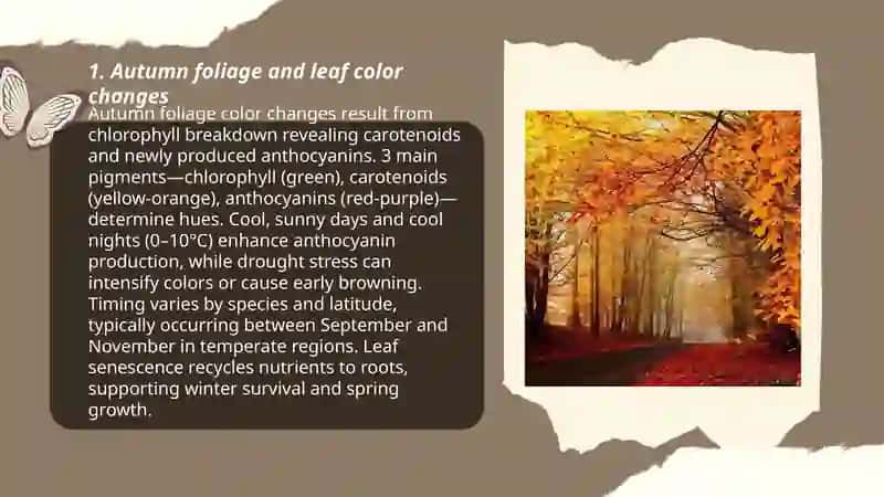 Autumn 3