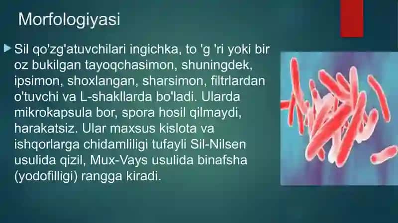 SIL kasalligi 3