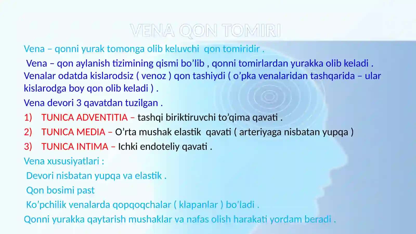VENA QON TOMIRI 3