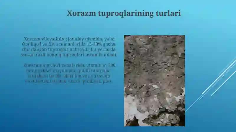Xorazm tuproqlari 3
