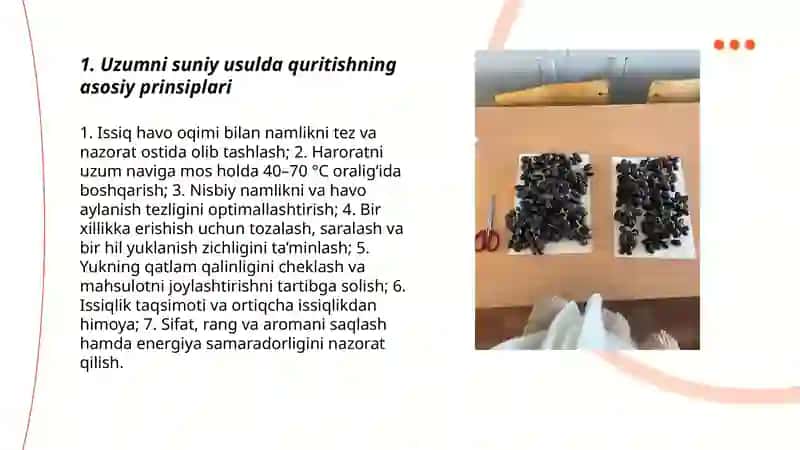 Uzumni suniy usulda quritish 3