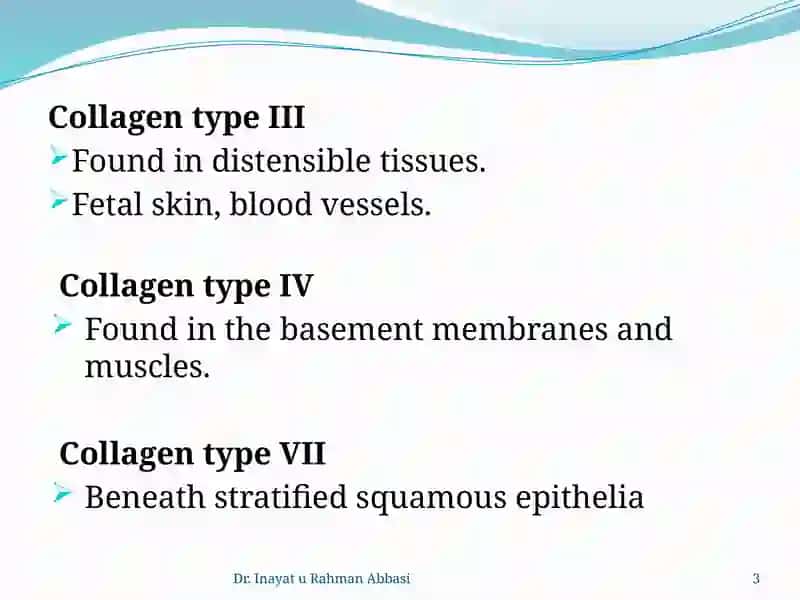 Types of collagen 3